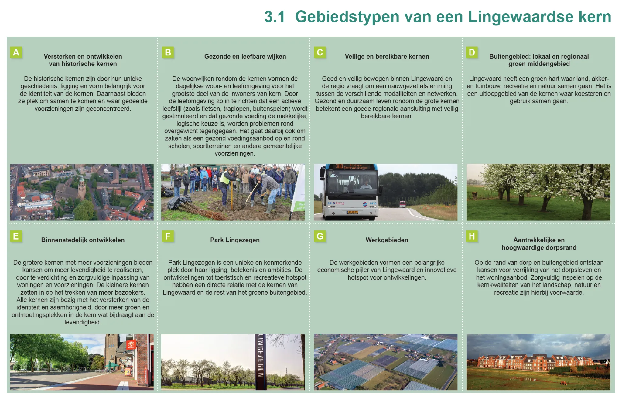077-10.webp